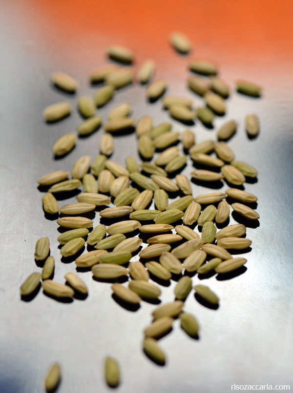 Grana verde